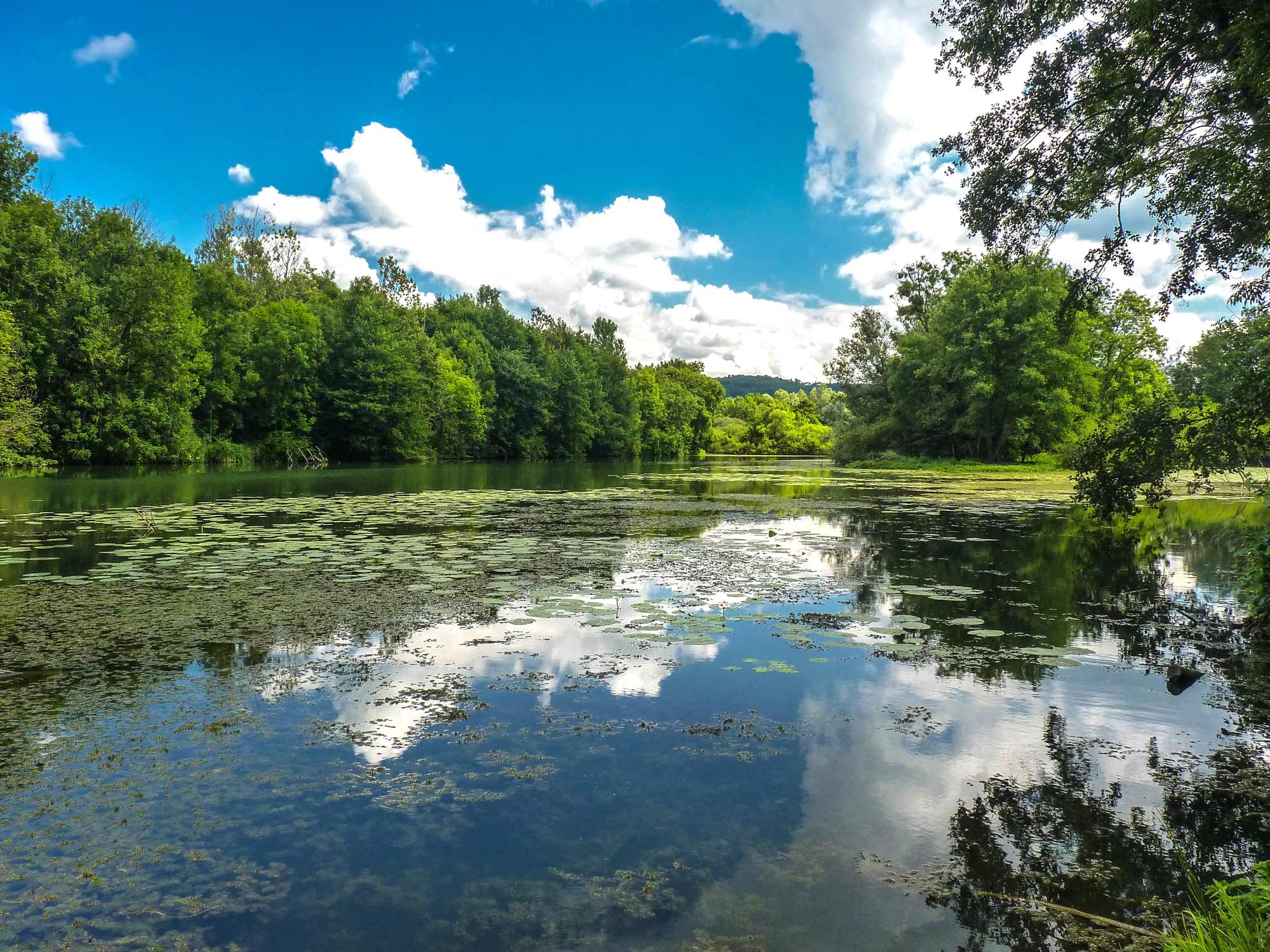 Le-marais-de-Saône_Emmanuel-EME
