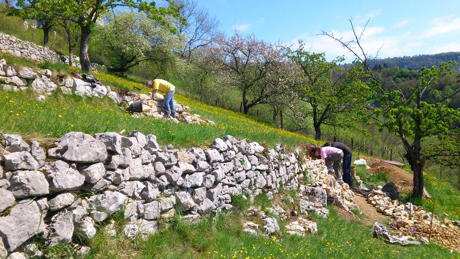 Terrasses bisontines