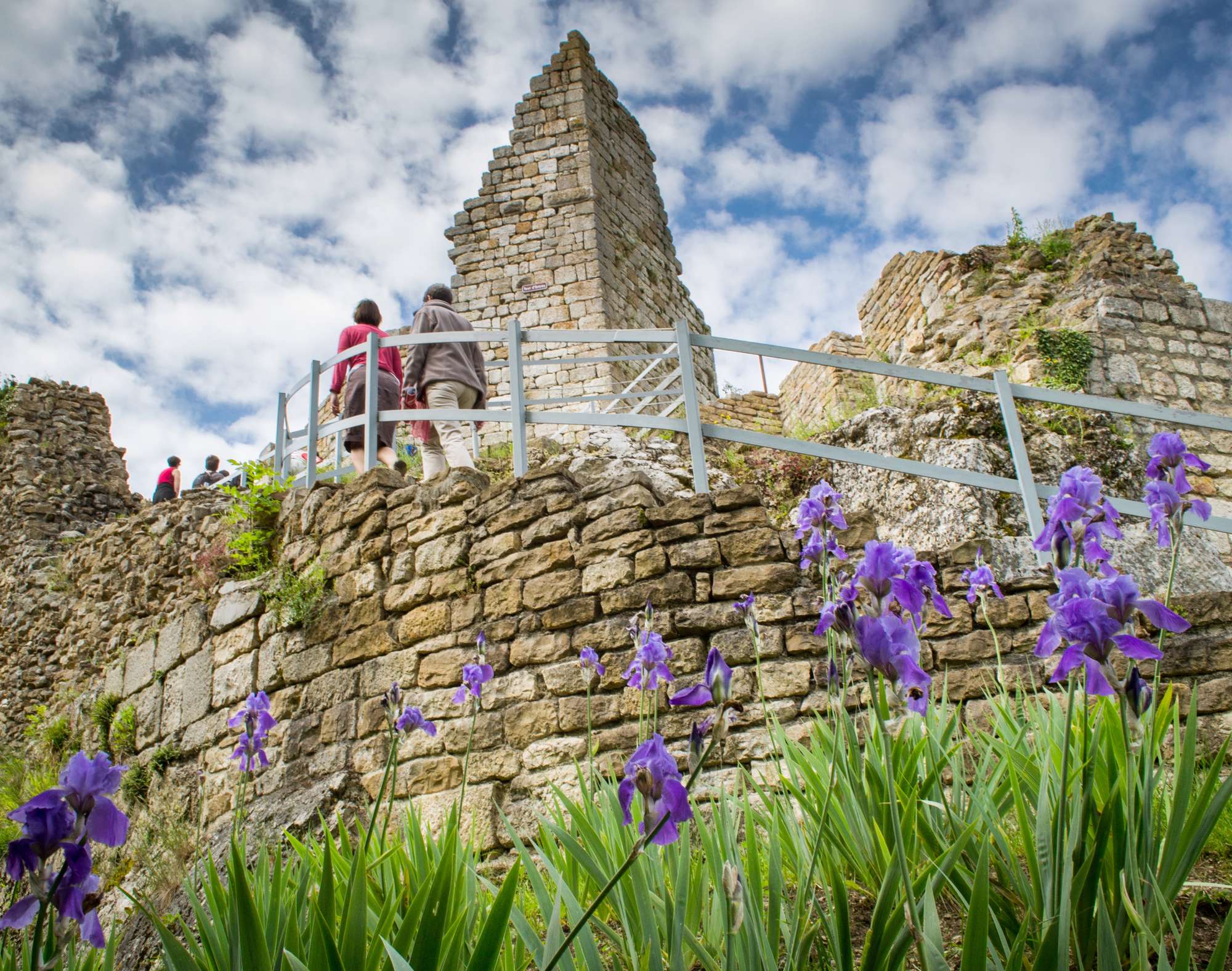 Chateau de Montfaucon