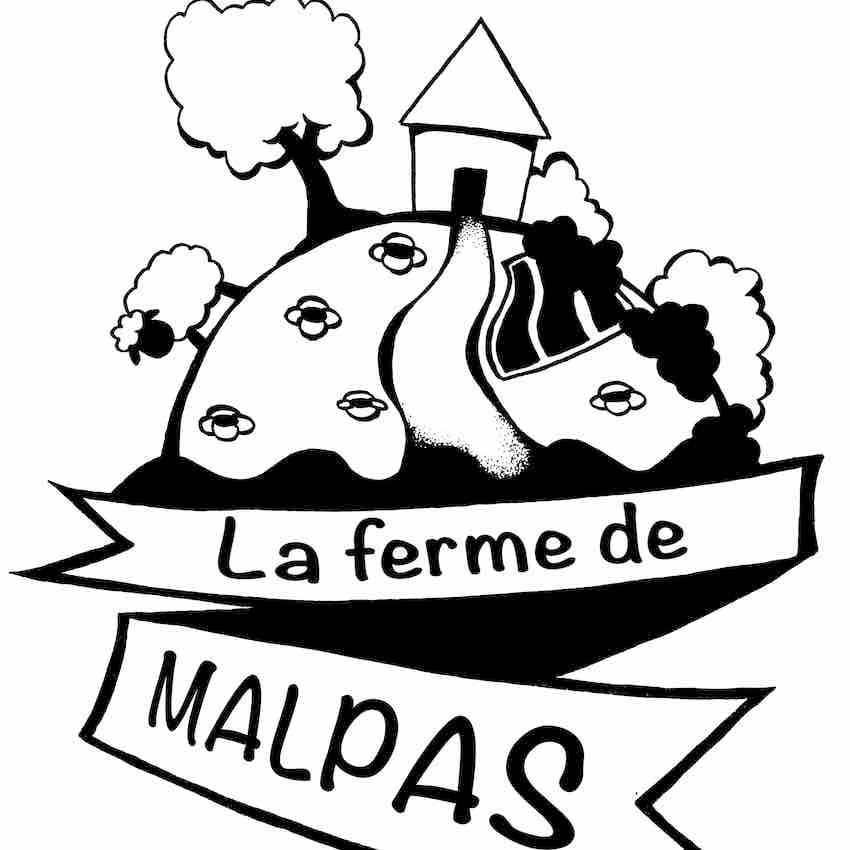 visite et atelier oiseau arc en ciel