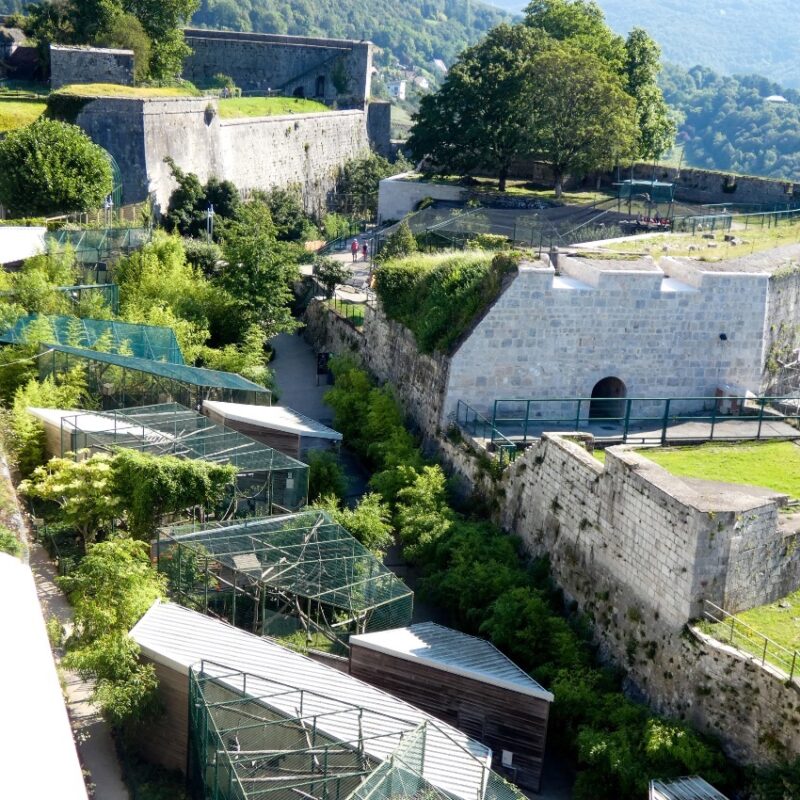 Journée familles à la Citadelle de Besançon